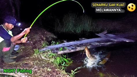 AIR PARIT MELUAP HABIS HUJAN DERAS IKAN LELE BESAR MENGGANAS MANCING