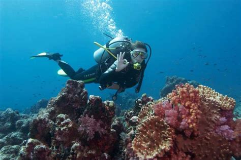 Kemer Full Day Scuba Diving Adventure GetYourGuide