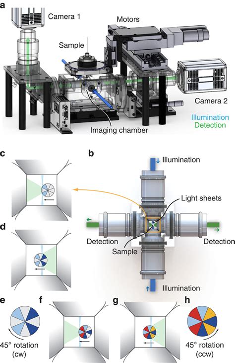 Four Lens SPIM Setup And Image Acquisition A Schematic Of The