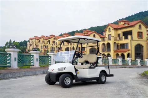 Wuling Seater Electric Pick Up Car Personal Transport Vehicle Golf