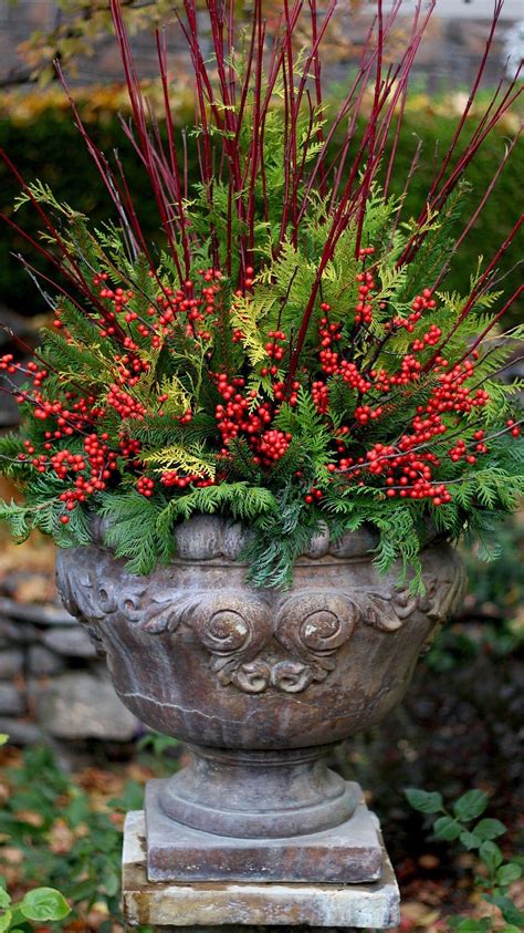 Outdoor Christmas Planter Ideas Homyracks