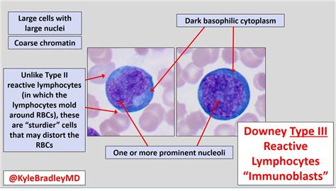 Downy Cells Wasshe