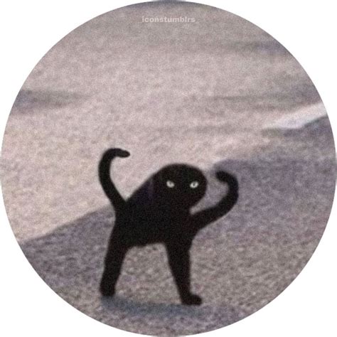 Round Icon Pfp Cute Black Cat Big Eyes Aesthetic Y2k Profile Picture