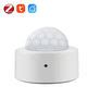 Buy Wholesale China Tuya 2 In 1 Zigbee Mini Pir Body Motion Detector