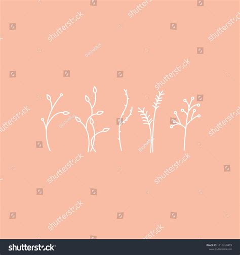 Vector Floral Illustration Branch Collection Grass Stock Vector Royalty Free 1716260419