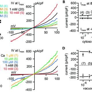 Figure S3 TRPY1 Wild Type And Mutants In Yeast Vacuoles Related To