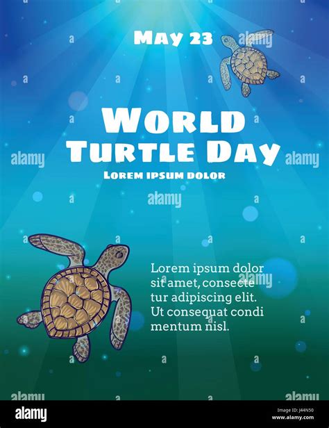 World Turtle Day May 23 Underwater Sea Scene With Sun Light Shining