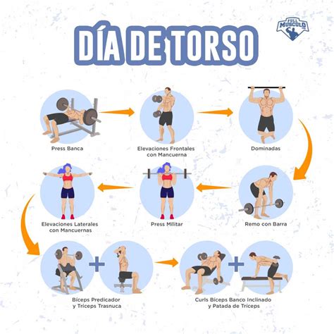 Rutinas Para El Gym Rutina Torso Pierna Dias Hipertrofia Nbkomputer