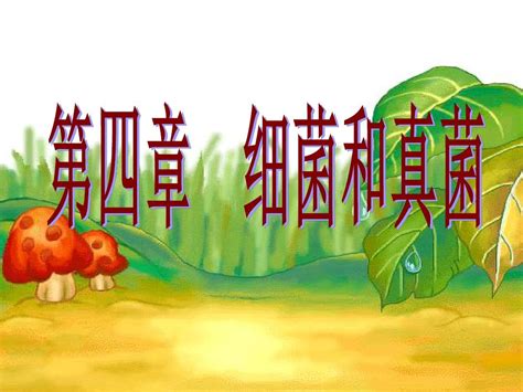 八年级生物上册 第四章《细菌真菌》 复习课件word文档在线阅读与下载无忧文档