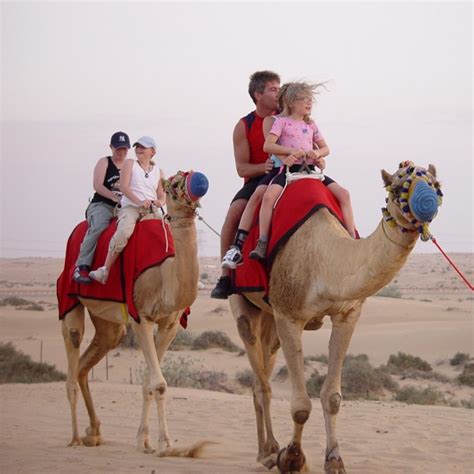 Camel Riding Safari Dubai - Dubai | Project Expedition