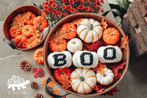 Easy And Cozy Pumpkin Patterns Free Crochet Stitchberry