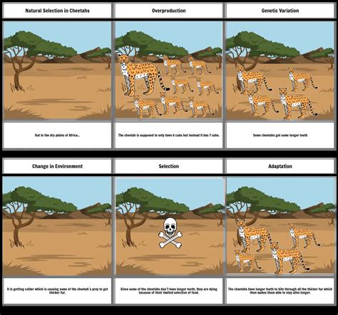 Natural Selection Comic Strip Storyboard By F5c442e7