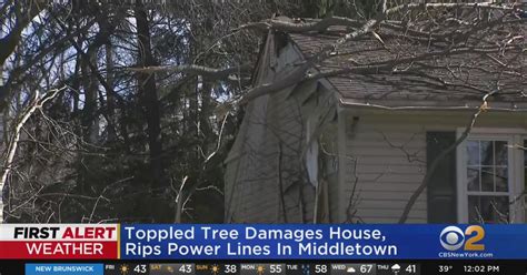 Strong Winds Bring Down Trees And Power Lines Cbs New York