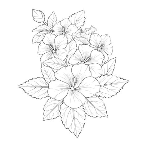 Dibujo Vectorial Dibujado A Mano Ilustraci N L Piz Arte Flor De Hibisco