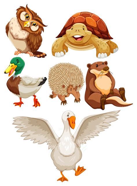 Animals 366163 Vector Art at Vecteezy