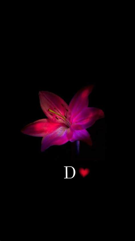 Pin By Wynter On Quick Saves In 2025 Cute Flower Wallpapers D