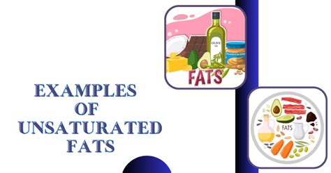 20 examples of unsaturated fats - Vivid Examples