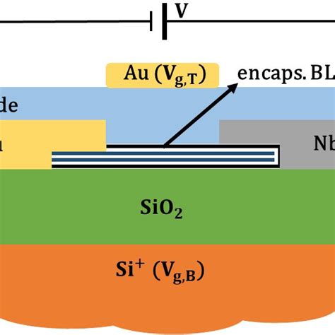 A Schematics Of The Proposed Device The Bilayer Graphene Blg Is Download Scientific Diagram