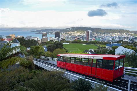 Wellington Travel Guide Where To Stay Eat And Explore Forbes Advisor