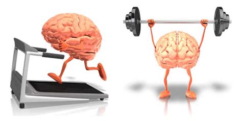 ℹ Beneficios Del Ejercicio Para El Cerebro