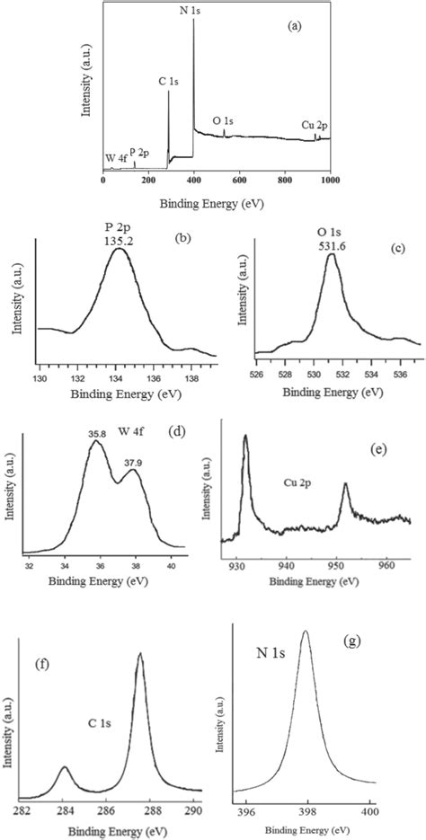 Full Spectrum 6a And High‐resolution X‐ray Photoelectron Spectroscopy Download Scientific