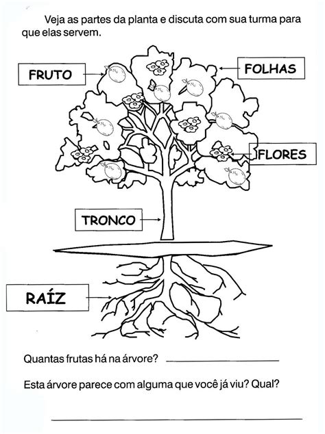 Atividades De Ci Ncias Ano Plantas I Atividades E Desenhos