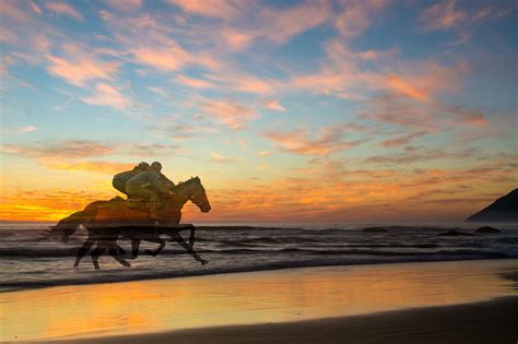 Sunset Racing Horses Free Photo On Pixabay Pixabay