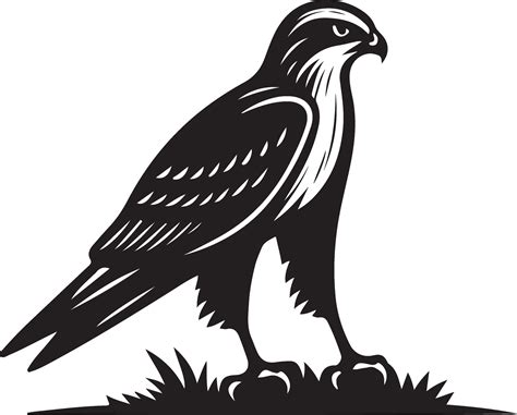 harrier bird illustration black 46331608 Vector Art at Vecteezy