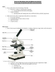 Microbio Lab Review Docx Review For Microbiology Lab Midterm Not