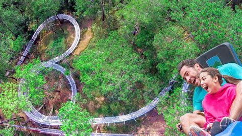 Datanla New Alpine Coaster Experience In Da Lat Vietnam Klook United