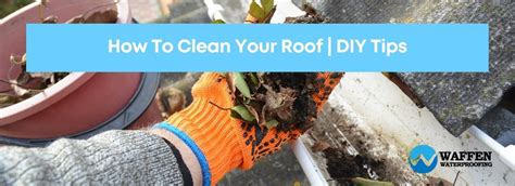 How To Clean Your Roof | DIY Tips » Waffen Waterproofing