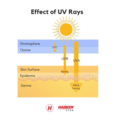 Are You Wearing Sunscreen Today Communicating Science 2019w112