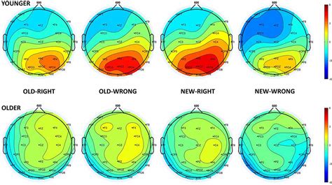 Frontiers Older Adults Encode Task Irrelevant Stimuli But Can This