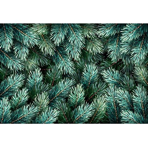 Yeele 6x4ft Tropical Photography Background Green Fir Forest Vine