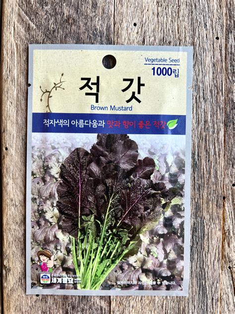 Korean Mustard Jeok Gat 적갓 Seeds 1000 Seeds Kimchimari Shop