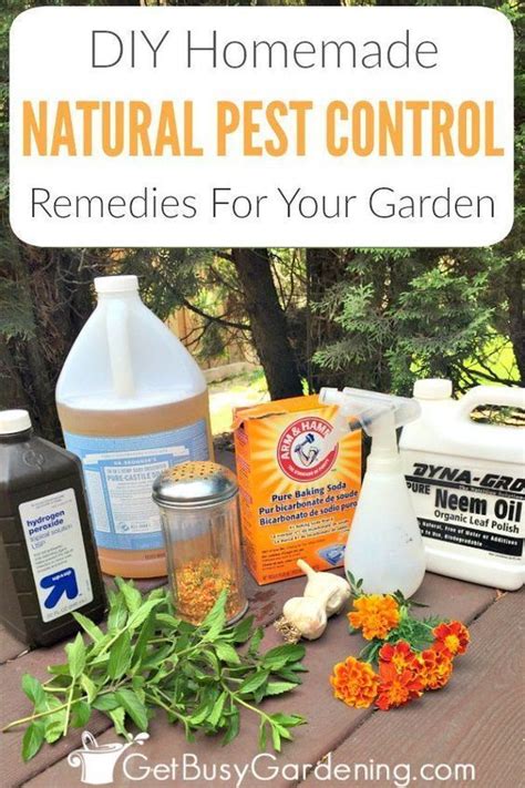 Diy Edge Control Recipe Organic Pest Control Remedies For Your Garden At Home Diy 2 In