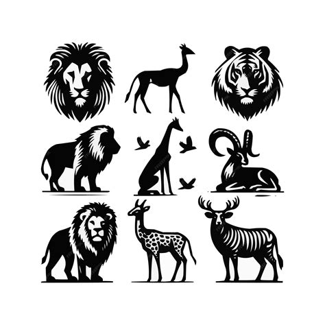Premium Vector Print