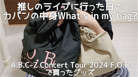 What S In My Bag A B C Z Concert Tour F