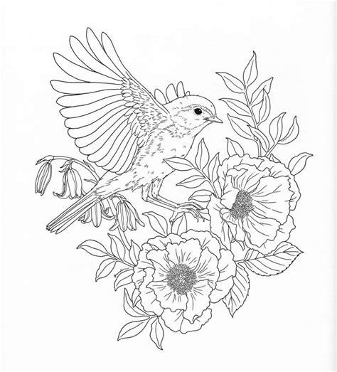 Bird Coloring Pages Coloring Pages Spring Coloring Pages