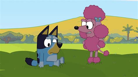 Bluey Season 1 Image Fancaps