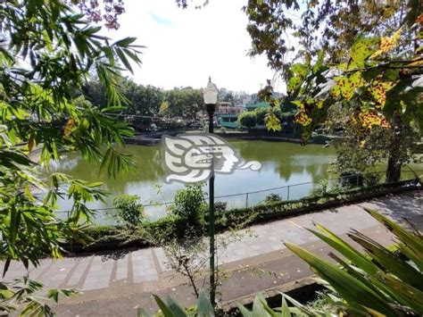 En Los Lagos De Xalapa Hallan Flotando Un Cuerpo