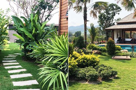 Landscaping Company Hua Hin Thailand Thai Garden Design