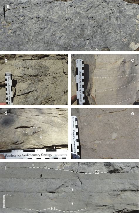 Limestone Lithologies In The Opletnya Member Mogila Formation A