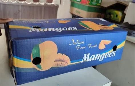 Double Wall Ply Dozen Mango Box At Rs Piece In Mumbai Id