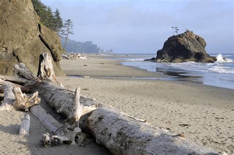 Second Beach Olympic National Park Pictures Geography Im Austria