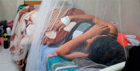 Honduras en alerta máxima por brote de dengue con más de 16 mil casos y