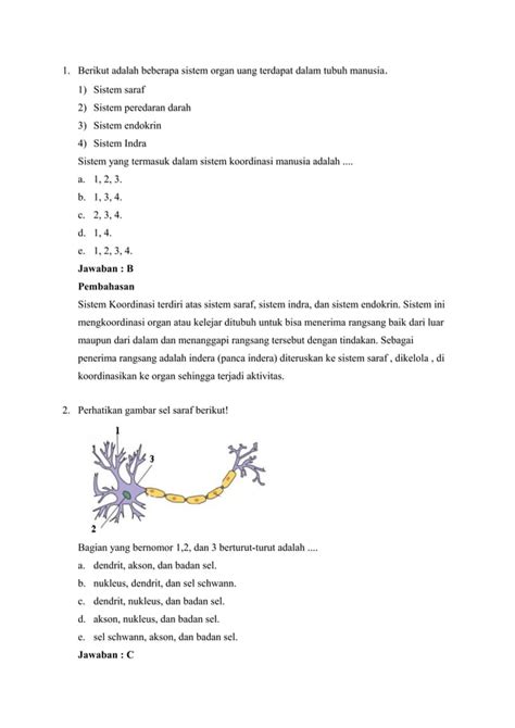 Soal Dan Pembahasan Sistem Koordinasi Pada Manusia Pdf