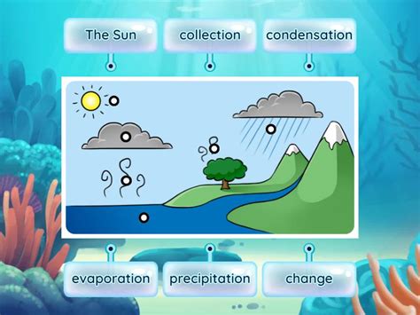 Water Cycle- Label Illustration - Labelled diagram