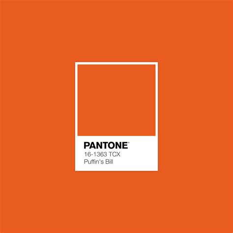 PANTONE 16-1363 TCX Puffin's Bill · Color · Palette Collection