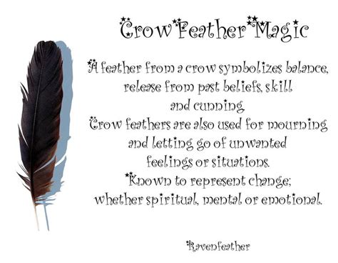 Crow Feather Magic Please Check Your Local And Federal Guidelines For